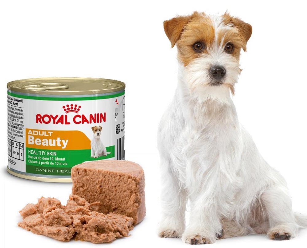 Влажный корм для собак royal canin. Роял Канин Эдалт для собак. Собачьи консервы для щенков Роял Канин. Роял Канин Бьюти для собак. Роял Канин для кошек и собак.